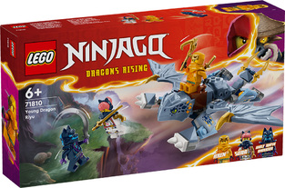 LEGO Ninjago Young Dragon Riyu - 71810