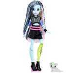 Monster High Frankie Stein Doll - JHK31