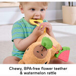 Fisher-Price Μαλακό Καπιμπάρα Δραστηριοτήτων - HYR54