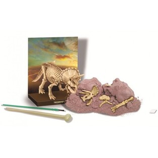 4M Δεινόσαυρος Ανασκαφή Τρικεράτωψ - 4M0009