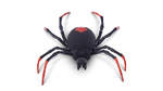 Robo Alive Creepy Crawlies Ρομποτική Αράχνη - 11807151