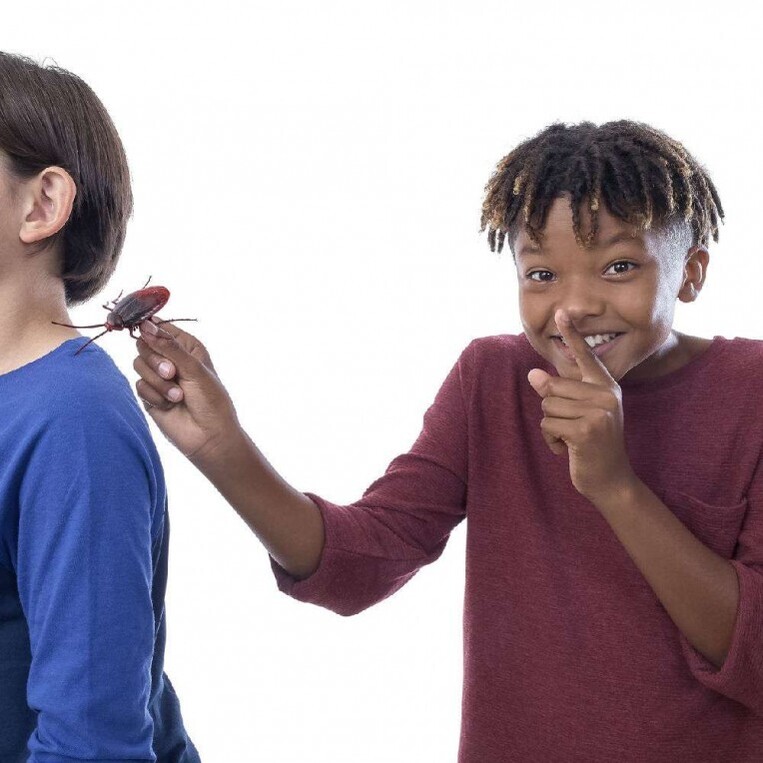 Robo Alive Κατσαρίδα - 11807152