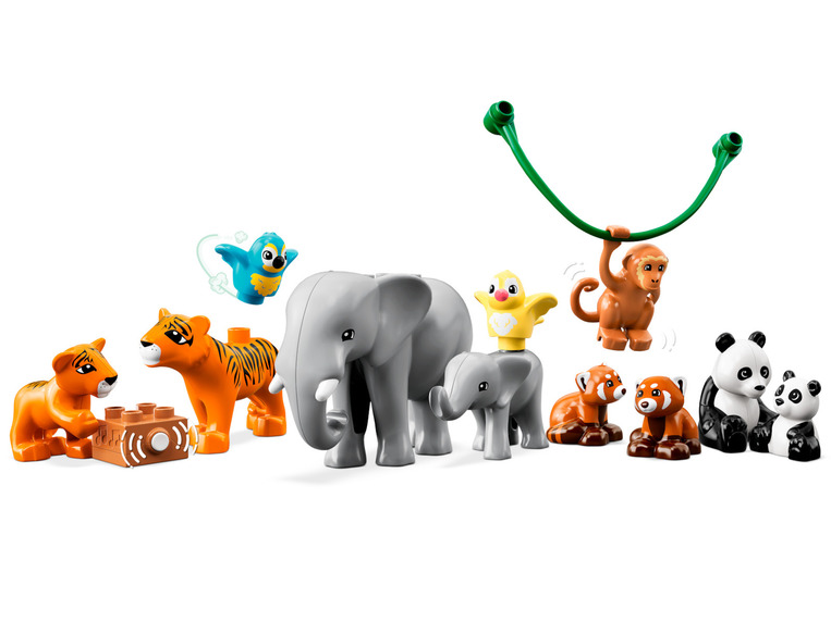 Wild Animals Of Asia 