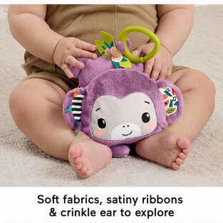 Fisher-Price Κρεμαστό Μαϊμουδάκι Με Μουσική - JFF02