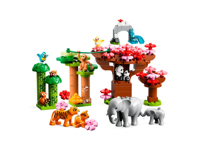 Wild Animals Of Asia 