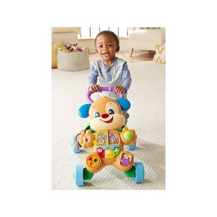 Fisher-Price Fisher Price Εκπαιδευτική Στράτα Σκυλάκι Smart Stages - FTC66