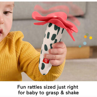 Fisher Price Planet Firends Κουδουνίστρα Λουλουδάκι Kαι Μελισσούλα - HYR56