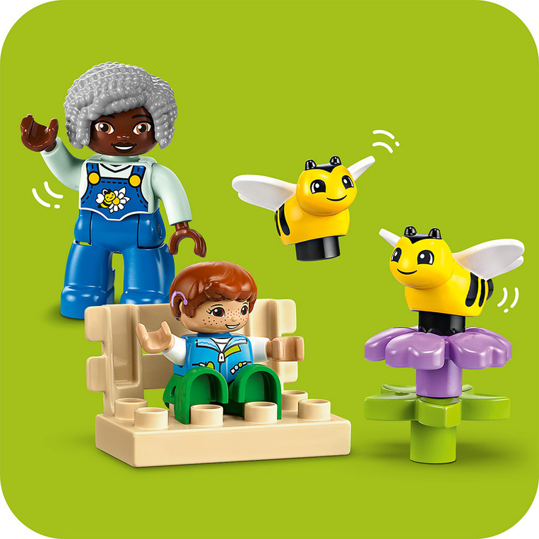 Caring For bees & beehives 