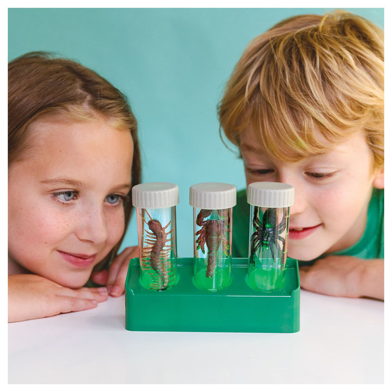 4M KidzLabs Εργαστήριο Φωσφορούχων Ζωυφίων - 4M0635