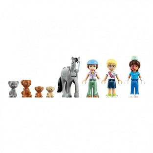 Friends Horse And Pet Vet Clinic 