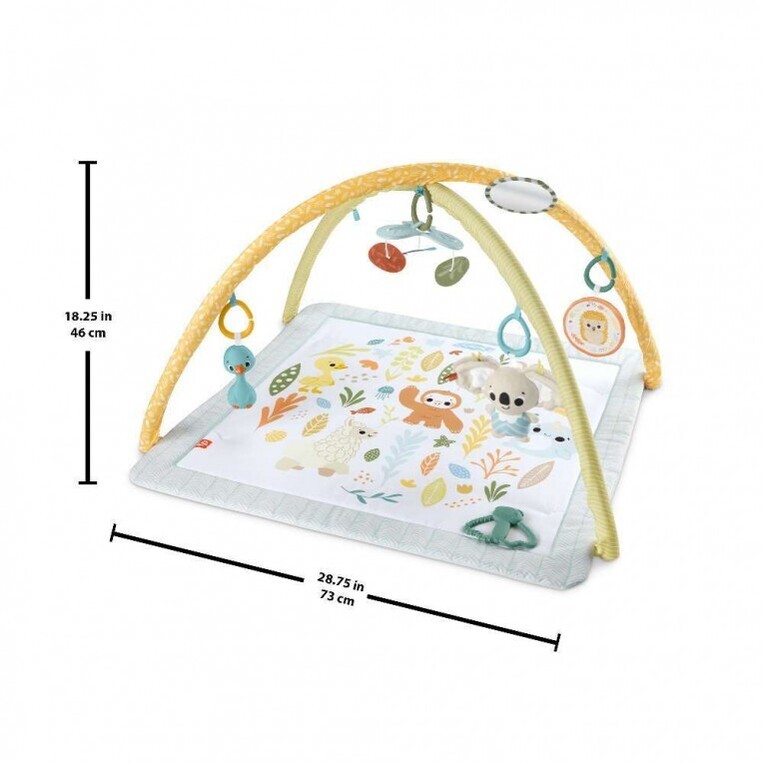 Fisher-Price Γυμναστήριο Οι Πρώτες του Αισθήσεις - HRB15