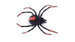 Robo Alive Creepy Crawlies Ρομποτική Αράχνη - 11807151