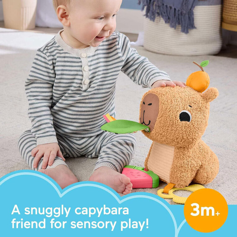 Fisher-Price Μαλακό Καπιμπάρα Δραστηριοτήτων - HYR54
