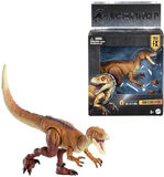 JW Ornitholestes Hammond Collection - JKM91