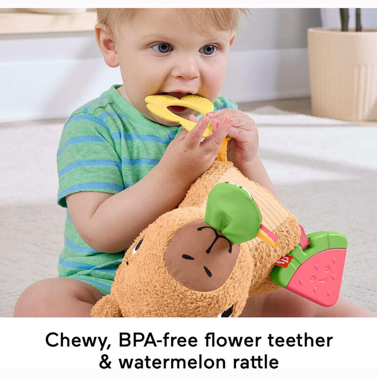 Fisher-Price Μαλακό Καπιμπάρα Δραστηριοτήτων - HYR54