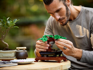 LEGO Creator Bonsai Tree - 10281