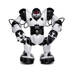 WooWee Robotics Robosapien Robot - RBA02000