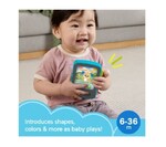 Fisher-Price Puppys Storytime Reader - JGX02