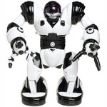 WooWee Robotics Mini Robosapien - RBA00000