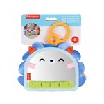 Fisher-Price Καθρεφτάκι Σκαντζοχοιράκι - JHB45
