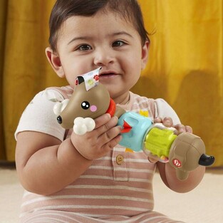 Fisher-Price Pets Σκυλάκι Δραστηριοτήτων - HTW91