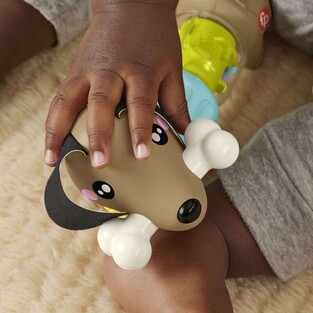 Fisher-Price Pets Σκυλάκι Δραστηριοτήτων - HTW91