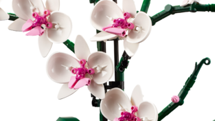 LEGO Icons Botanical Orchid - 10311