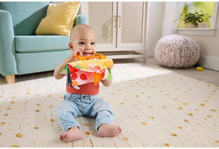 Fisher-Price Μαλακό Βιβλιαράκι 4 Εποχές - JKP53 