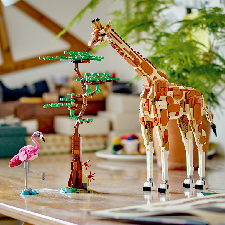 Wild Safari Animals 