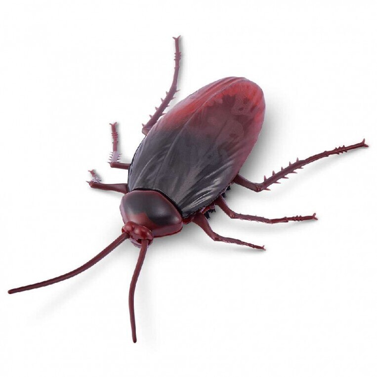 Robo Alive Κατσαρίδα - 11807152