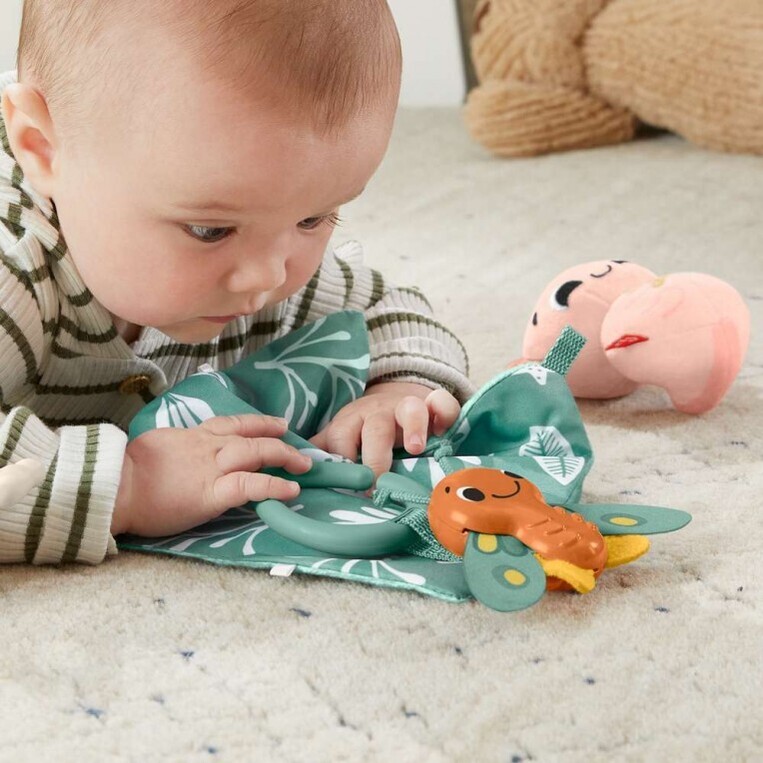 Fisher Price Sensimals Σετ Δώρου - HRB17
