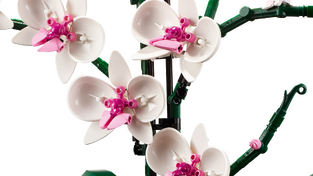 LEGO Icons Botanical Orchid - 10311