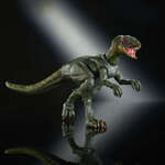 Jurassic World Hammond Collection Action Figure Hypsilophodon - JKM94