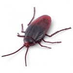 Robo Alive Κατσαρίδα - 11807152