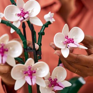 LEGO Icons Botanical Orchid - 10311