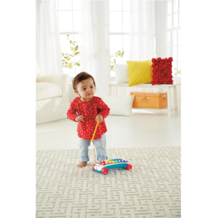 Fisher-Price Κλασικό Ξυλόφωνο - CMY09
