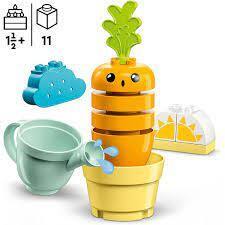 Growing Carrot 