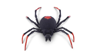 Robo Alive Creepy Crawlies Ρομποτική Αράχνη - 11807151