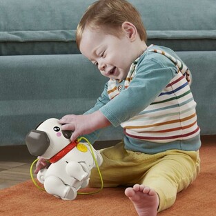 Fisher-Price Pets Συρόμενο Σκυλάκι Pug - HTW94