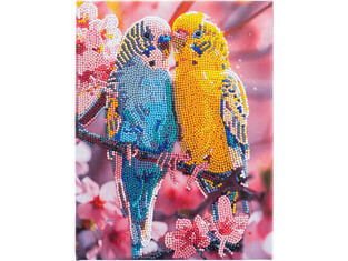 Nice Group Diamantiny Parrots Καμβάς Diamond Painting Kit - GRAF96579