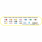 Aquabeads Minions The Rise Of Gru Character Set - AQB31605