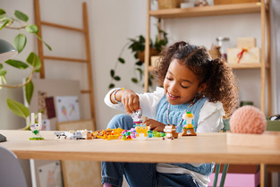 Lego Classic Creative Pets - 11034