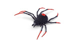 Robo Alive Creepy Crawlies Ρομποτική Αράχνη - 11807151