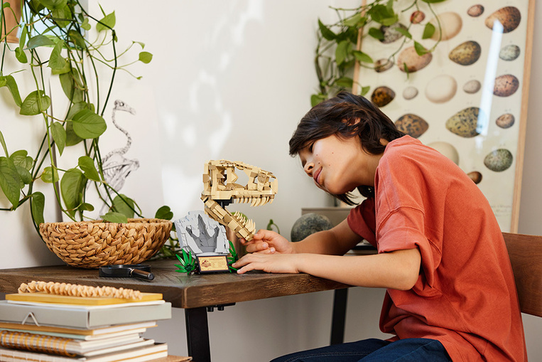 Lego Jurassic World Dinosaur Fossils: T.Rex Skull - 76964