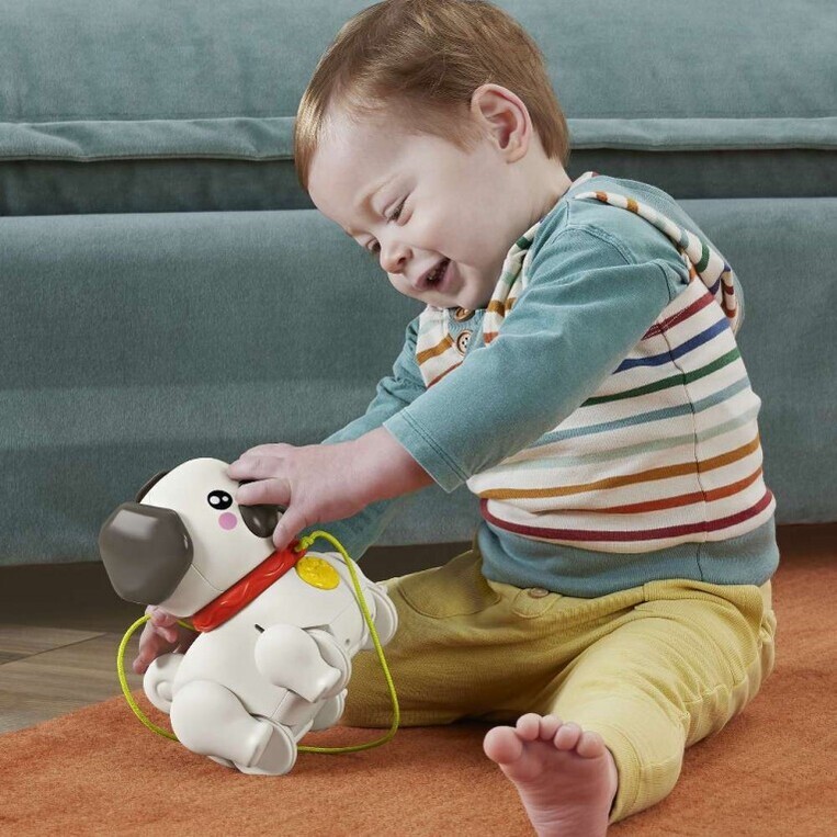 Fisher-Price Pets Συρόμενο Σκυλάκι Pug - HTW94