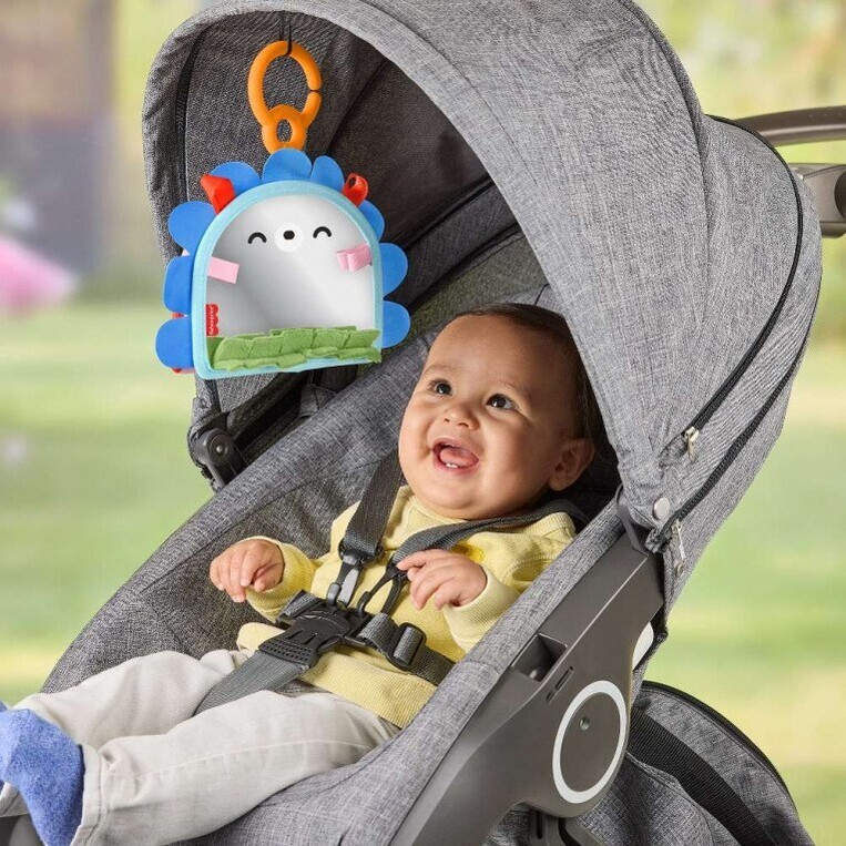Fisher-Price Καθρεφτάκι Σκαντζοχοιράκι - JHB45