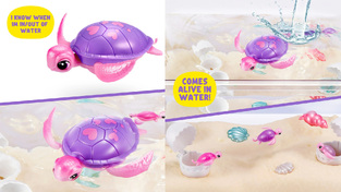 Pets Alive - Mama Turtle Surprise - Διαδραστικό Κατοικίδιο - 11809560