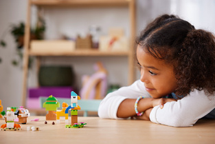 Lego Classic Creative Pets - 11034