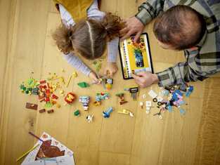 Lego Classic Bricks & Functions - 11019