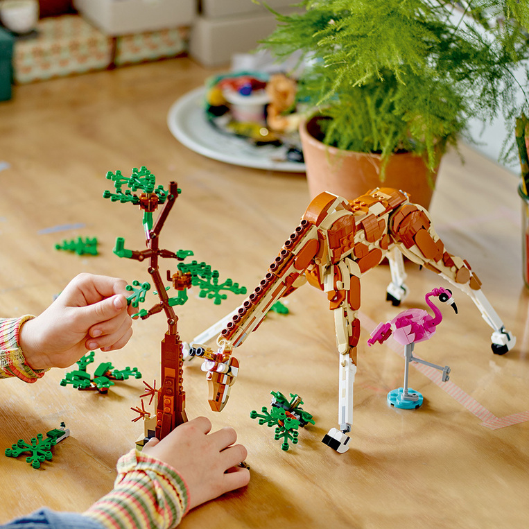 Wild Safari Animals 